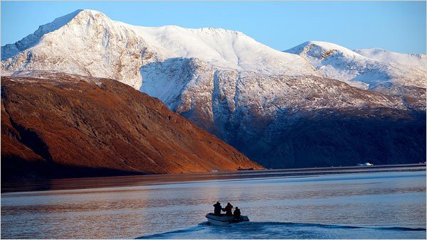 Mynd: New York Times