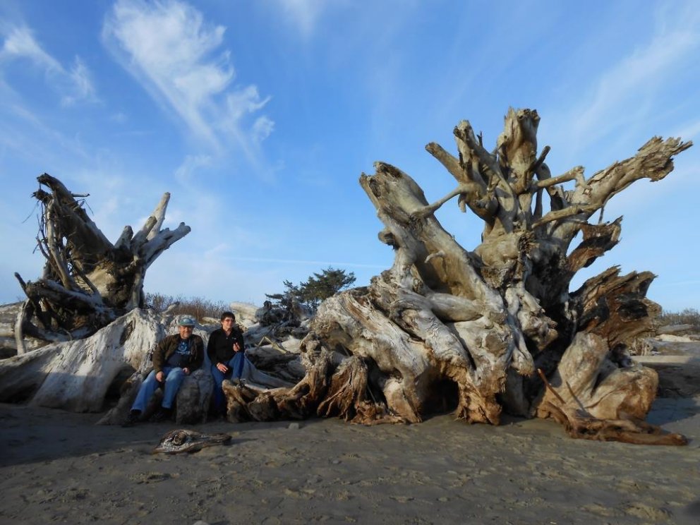 Rekaviður með stórum staf