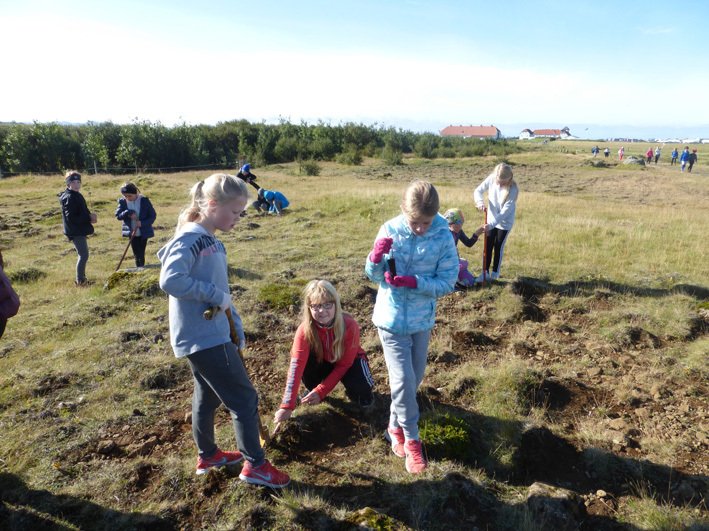 Nemendur úr Hofsstaðaskóla við gróðursetningu í landi Bessastaða á Álftanesi. Mynd: Hofsstaðaskóli.