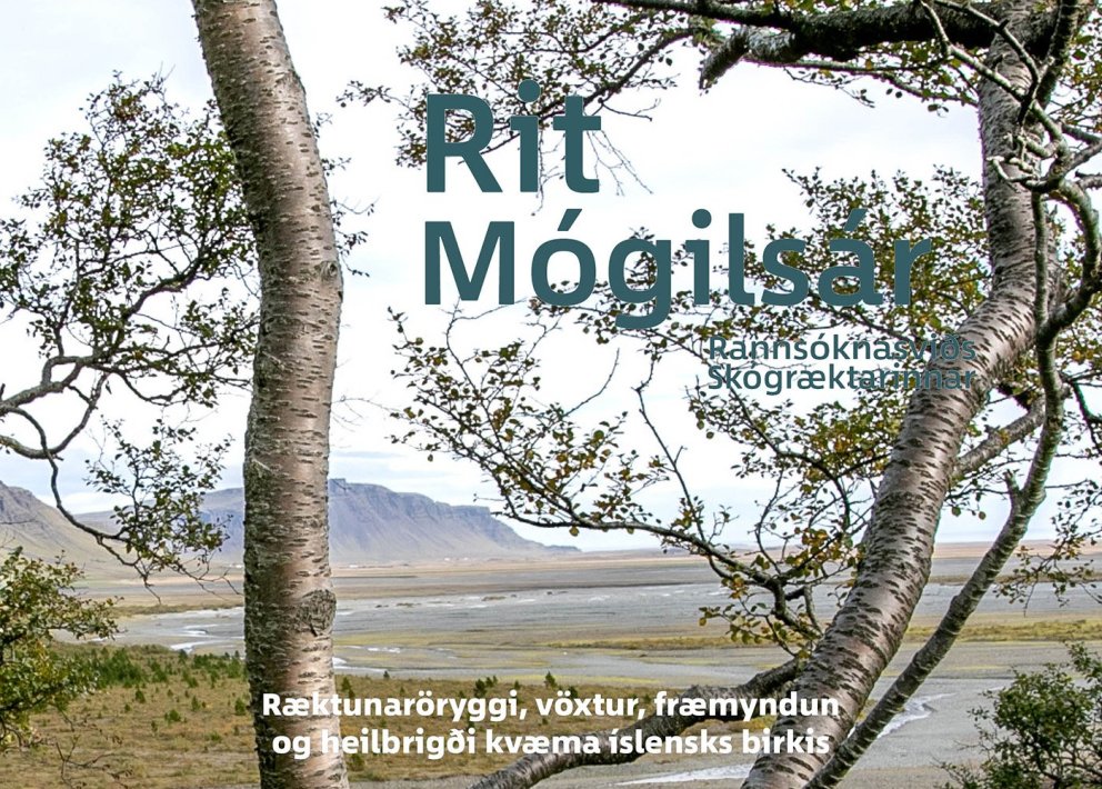 Hluti forsíðu 50. tölublaðs Rits Mógilsár