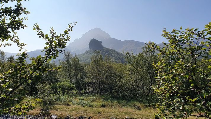 Þórsmörk er eitt þeirra dæma sem Hreinn nefnir í grein sinni um birkiskóga sem Skógræktin friðaði og…