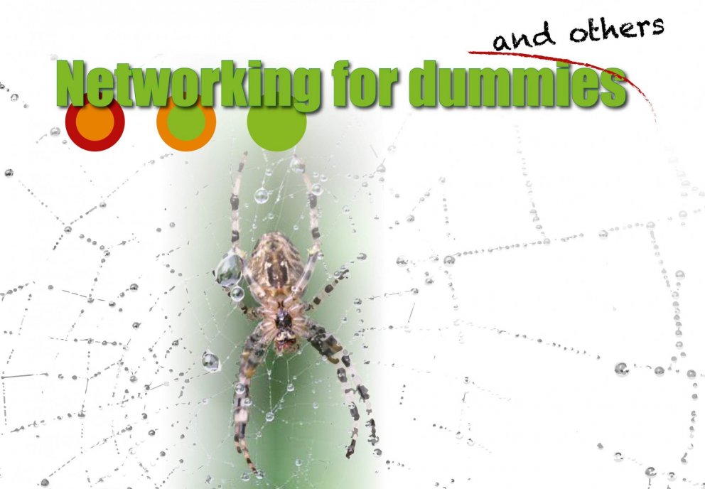 Að finna sér rannsóknarfélaga