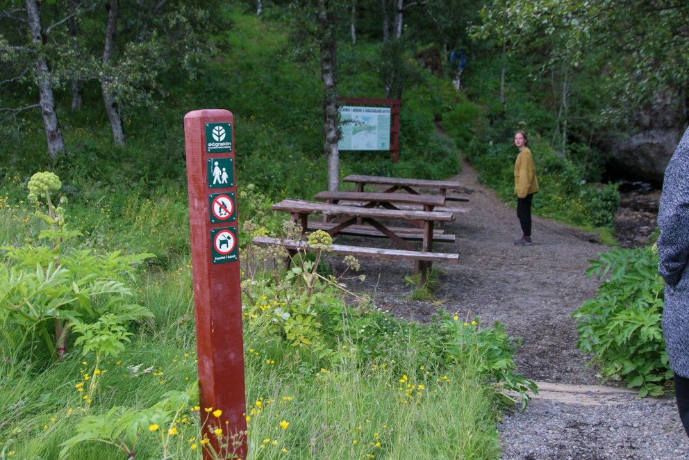Þjóðskógarnir eru allir opnir til „skógarbaða“, einnig skógar skógræktarfélaga um allt land og svo e…