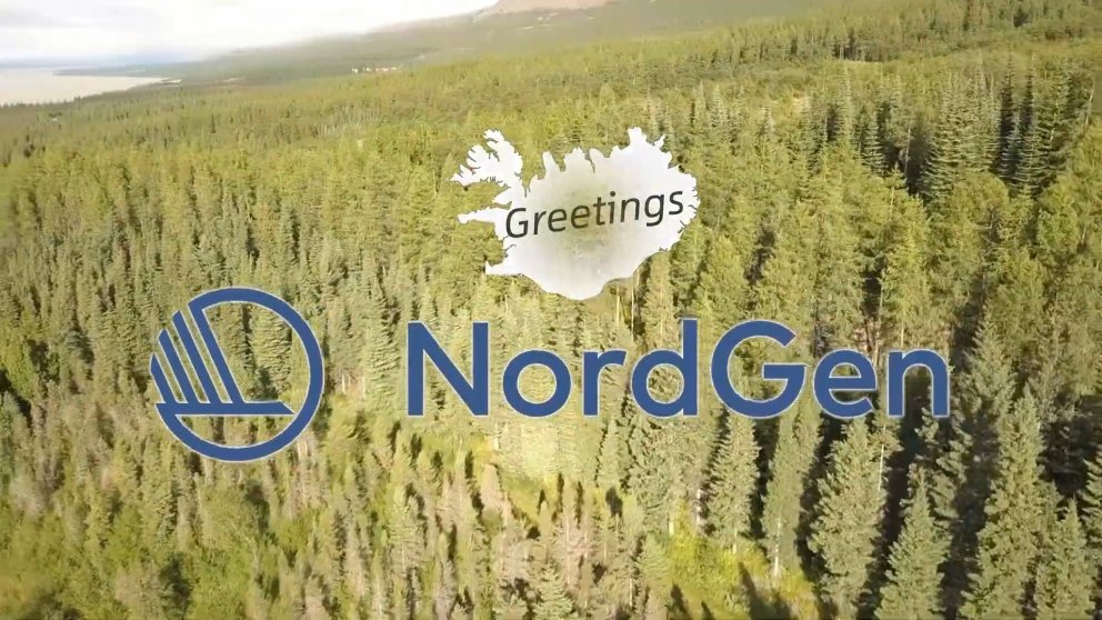 Afmælishátíð NordGen Skog öllum opin á vefnum