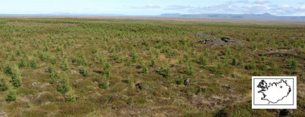 Hluti tilraunasvæðisins í Kelduhverfi. Mynd úr greininni í IAS