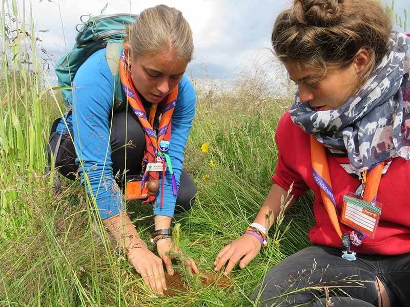 Þátttakendur í heimsmóti skáta 2017 við gróðursetningu í landi Skógræktarfélags Íslands að Úlfljótsv…