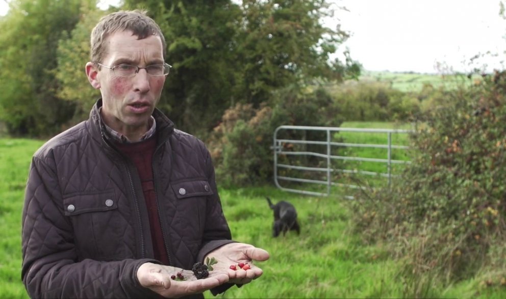 Írski bóndinn Sean O’Farrell segir í áhugaverðu myndbandi frá kostum þess fyrir búskapinn að rækta f…
