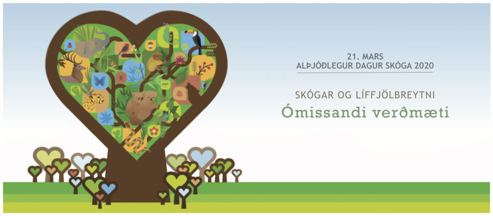 Líffjölbreytni á alþjóðlegum degi skóga
