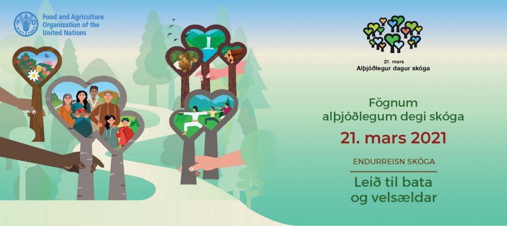 Endurreisn skóga - leið til bata og velsældar