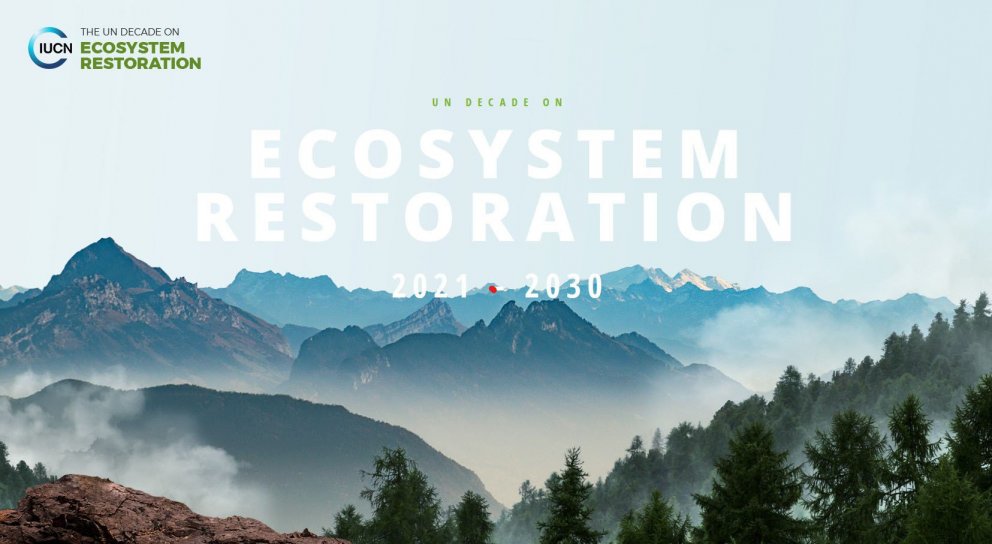 Áratugur endurhæfingar vistkerfa hjá Sameinuðu þjóðunum