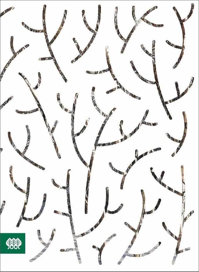 Birki á Sprengisandi? Ársrit SR 2013 komið út