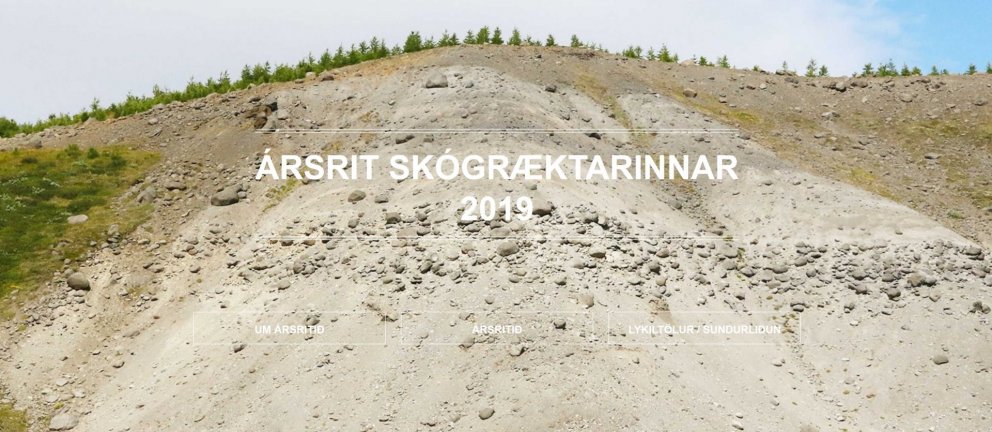 Ársrit Skógræktarinnar kemur út á nýjum ársskýrsluvef