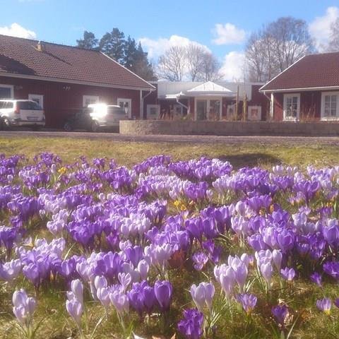 Asa-rannsóknarstöðin.