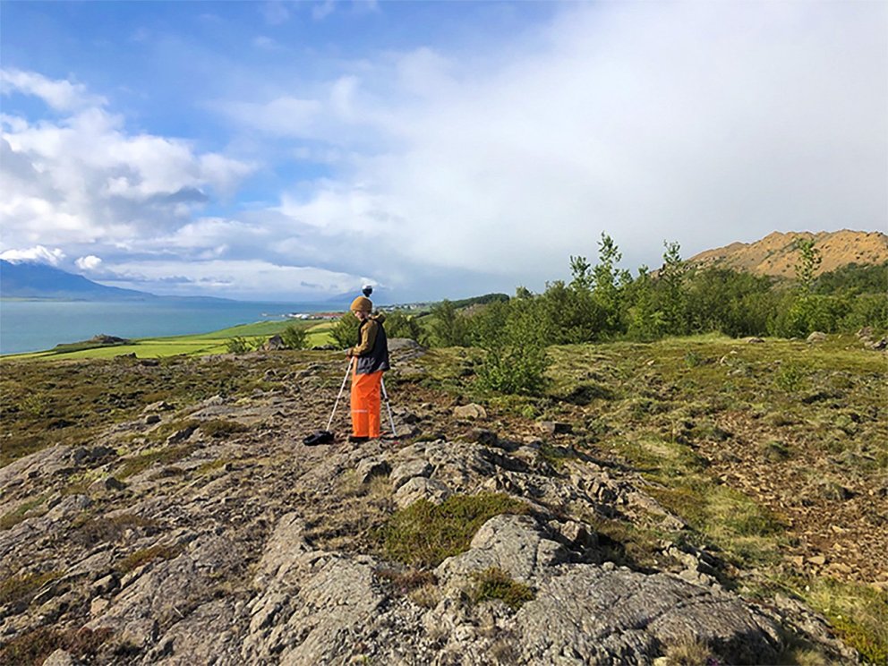 Mynd 1. Mælistaður (Eyjafjörður) í jaðarbelti með 14 fræplöntum af birki á 100 fermetrum. Ljósmynd: …