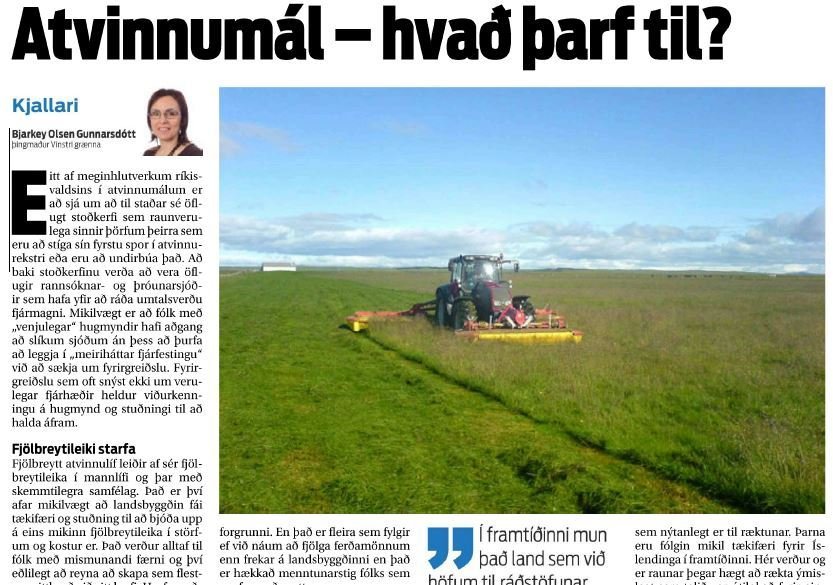 Atvinnumál - hvað þarf til?