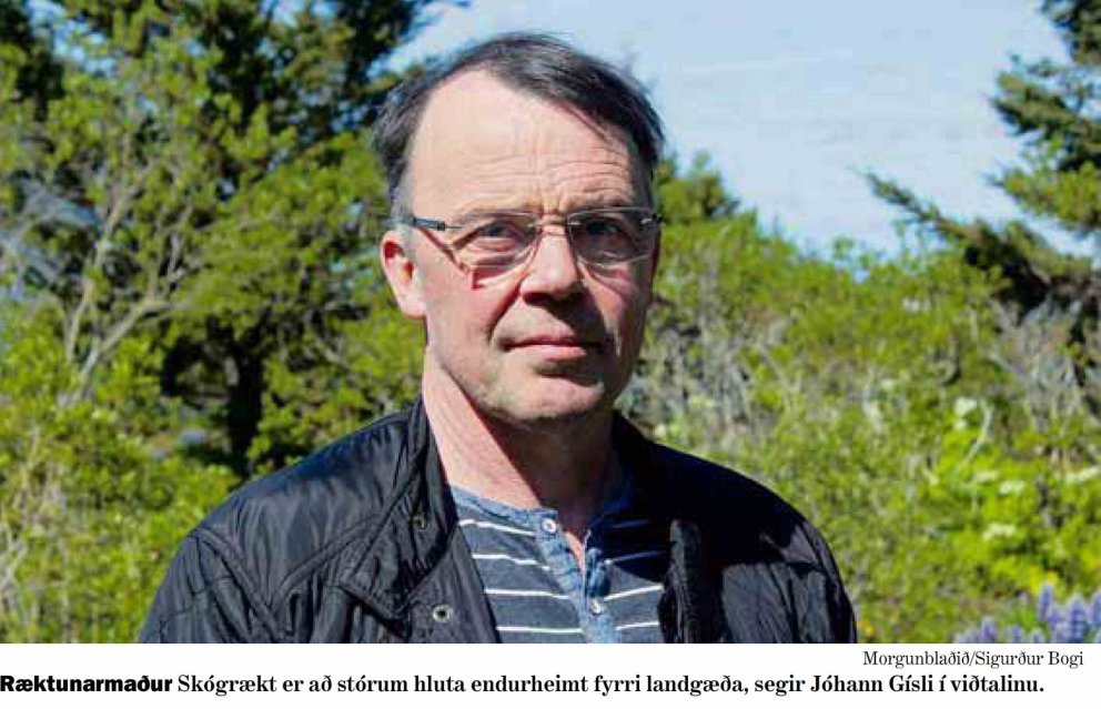 Skjámynd úr Morgunblaðinu