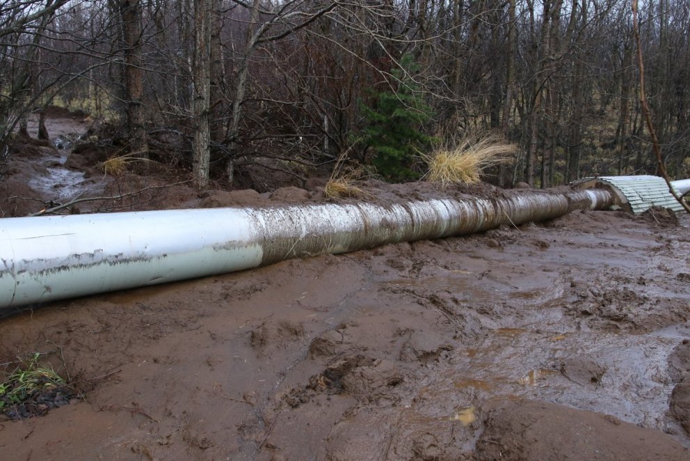 Trén björguðu hitaveitulögninni
