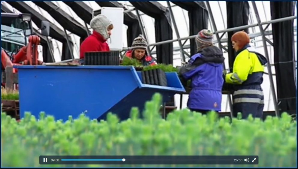 Fylla þarf upp í gatið í uppbyggingu skógarauðlindarinnar