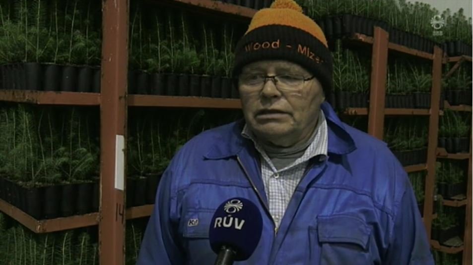 Skúli segir ekki lengur svigrúm til að bíða eftir að orð ráðamanna um aukna skógrækt verði að verule…