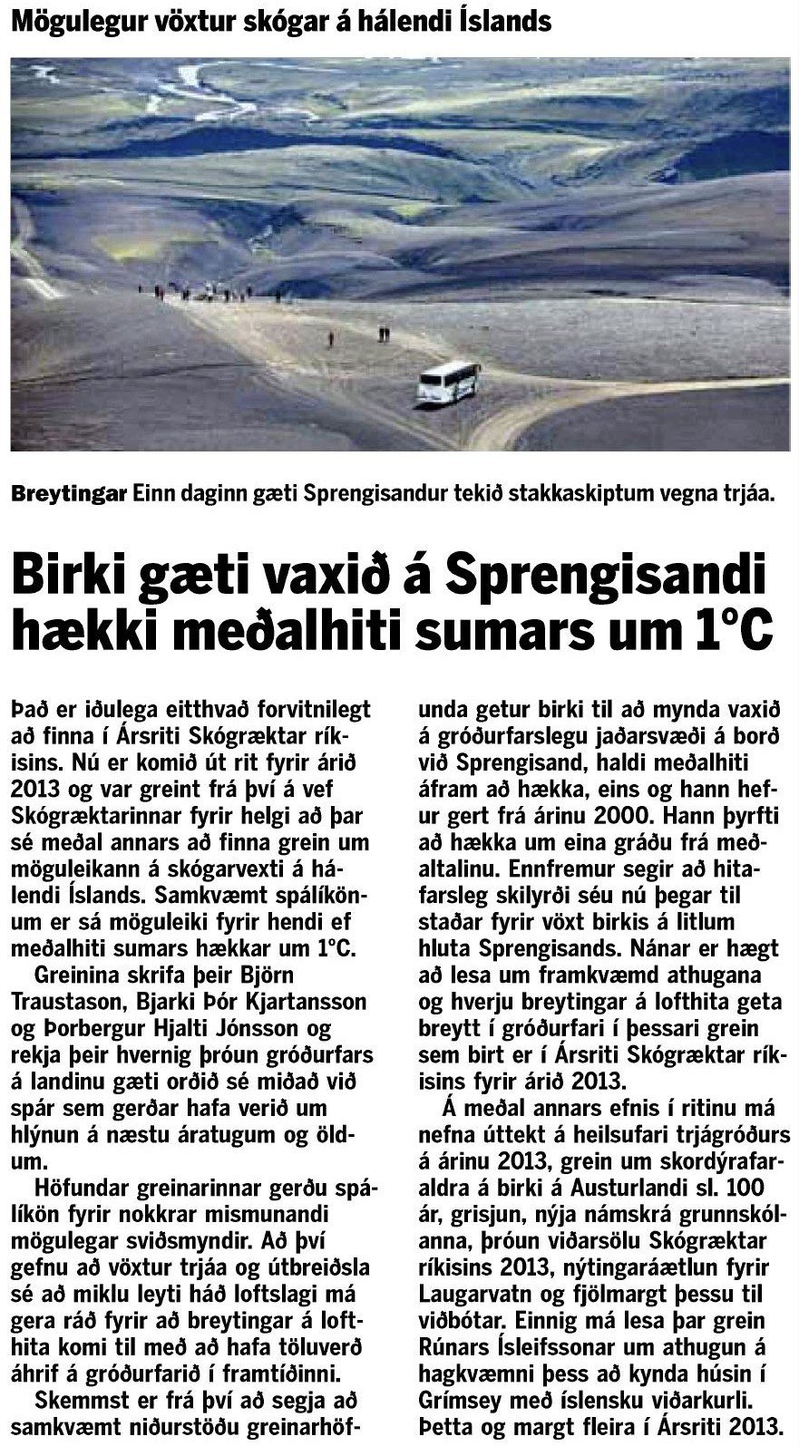 Tíðindi af möguleikum birkis á Sprengisandi vekja athygli