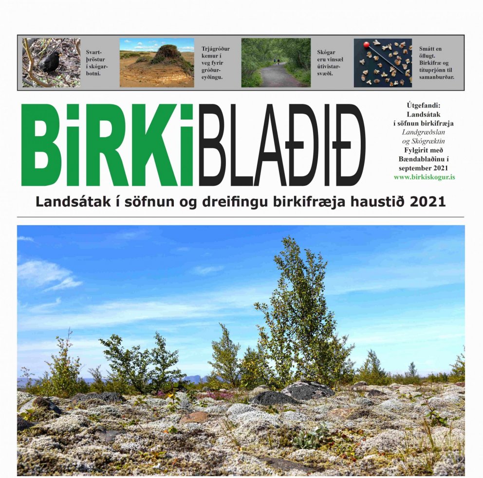 Hluti forsíðu Birkiblaðsins sem kom út sem aukablað með Bændablaðinu 9. september