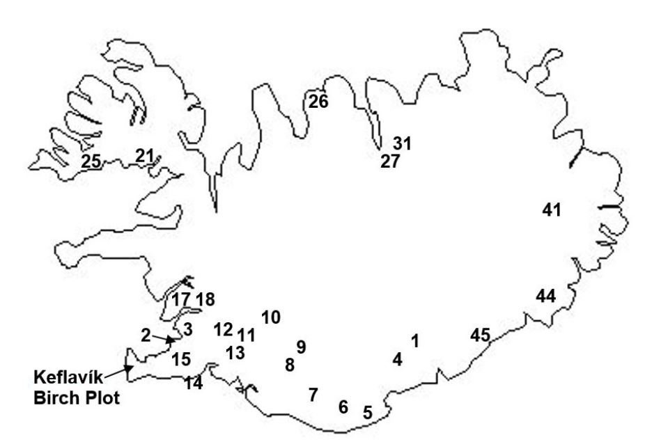 Birkikvæmi víða að af landinu voru reynd í tilraun með birkiskógrækt við Keflavíkurflugvöll. Kvæmi a…
