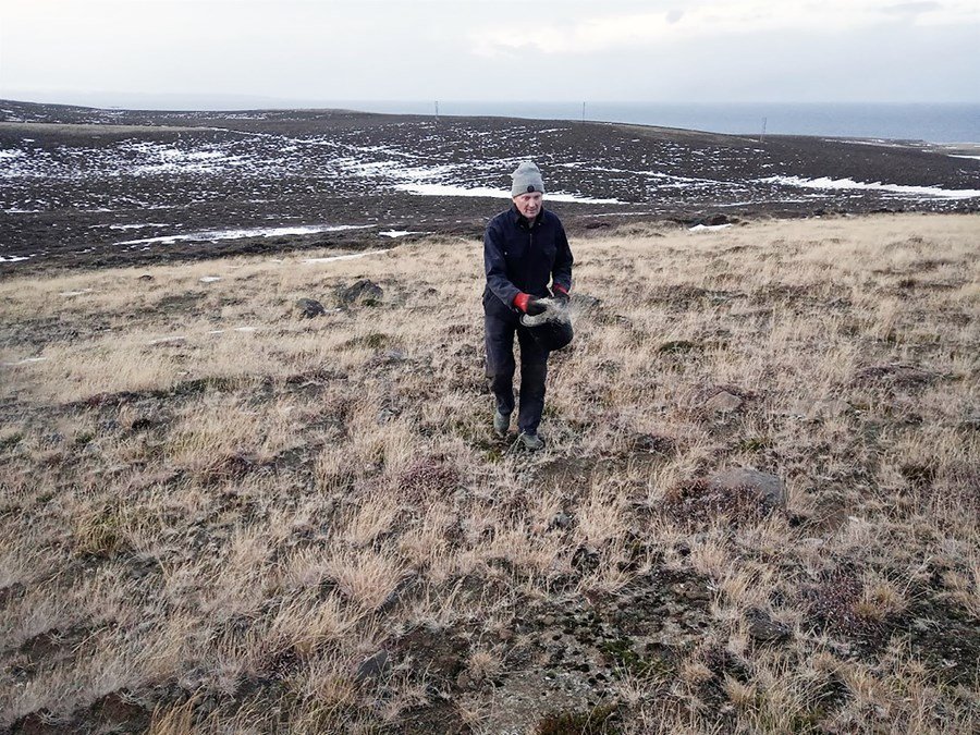 Björn Halldórsson, bóndi á Valþjófsstöðum í Núpasveit, dreifir birkifræi á uppgræðslulandi. Ljósmynd…