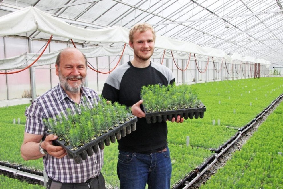 Bjørn Borgan (t.h.), framkvæmdastjóri Alstahaug-trjáplöntustöðvarinnar í Sandnessjøen, ásamt forvera…