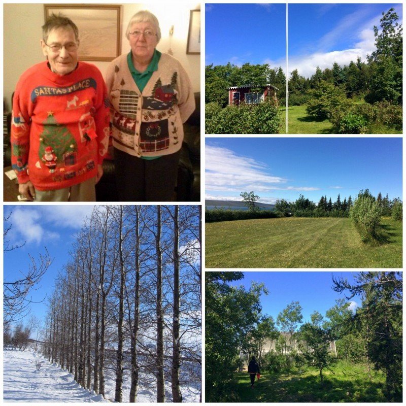 Ljósmyndir: Aðsendar myndir úr Feyki