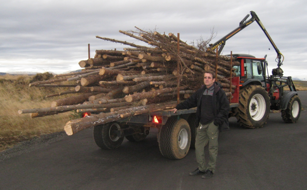 Böðvar stendur við timburvagn með timbur úr fyrstu grisjun á Snæfoksstöðum