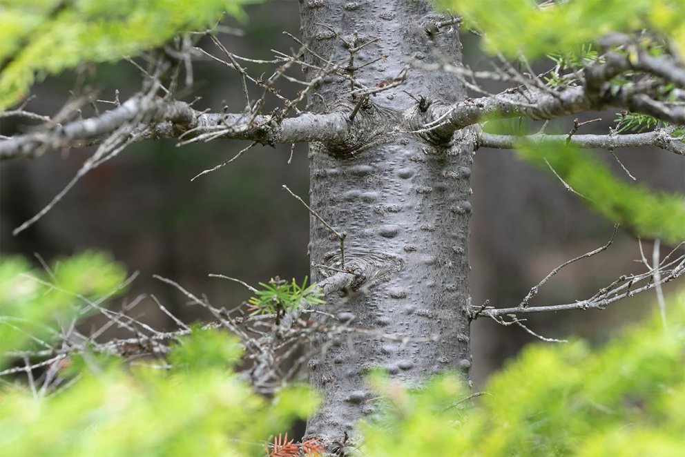 „Fegurð er smekkur. Fegurð er skoðun hvers og eins,“ segir Björn í pistli sínum. Ljósmynd: Pétur Hal…