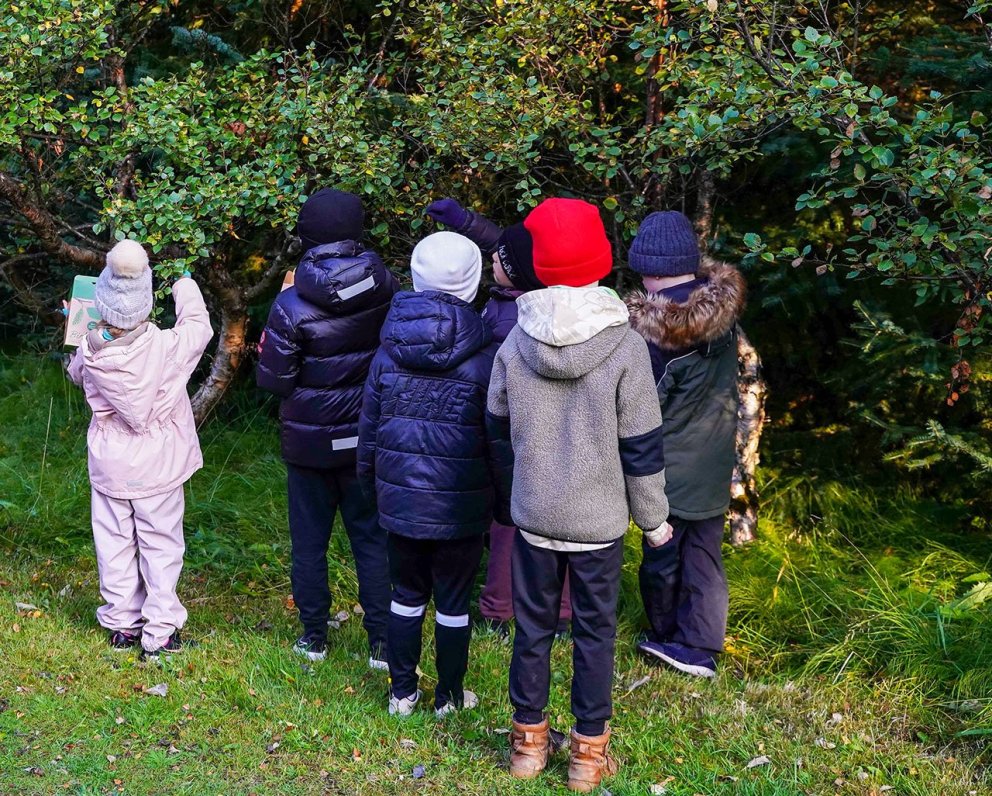 Börnum þykir spennandi að safna fræi. Ljósmynd: Kristinn H. Þorsteinsson