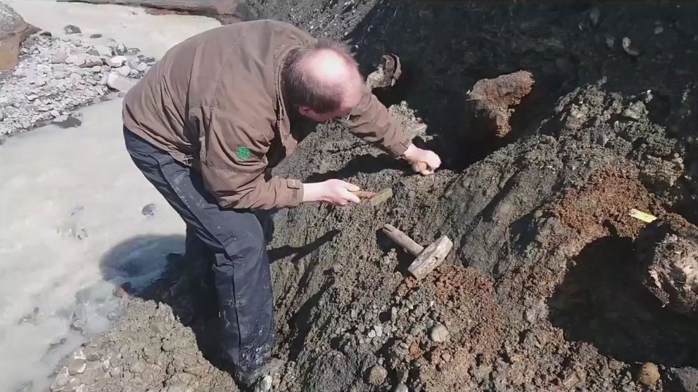 Ólafur Eggertsson, sérfræðingur í viðarfræði, fornvistfræði og áhringjafræði á Mógilsá, rannsóknasvi…