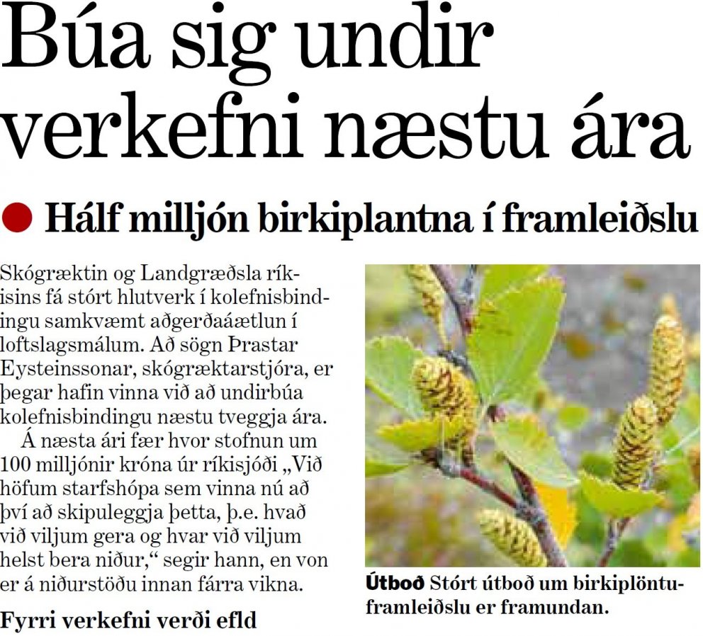 Vinna þegar hafin við að undirbúa kolefnisbindingu