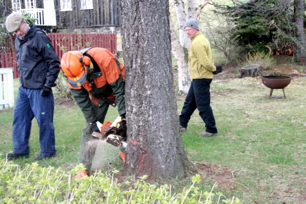 Enginn höfuðverkur með betra bensíni