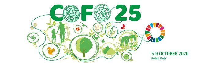 Vefmálstofur um skóga í kófinu og fundur skógarnefndar FAO