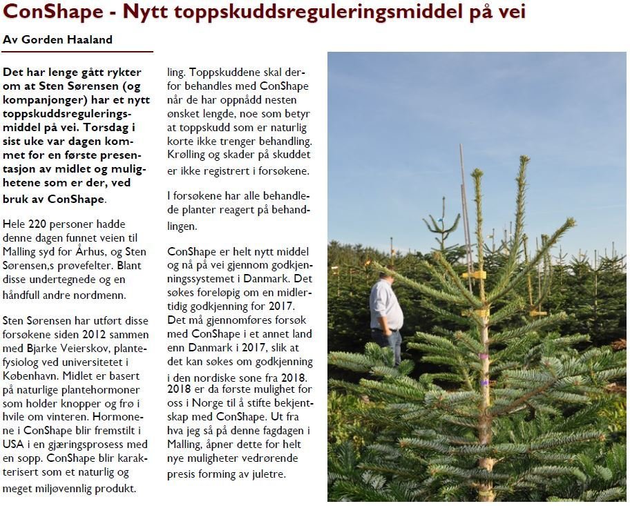 Nýtt hjálparmeðal lofar góðu fyrir jólatrjáarækt