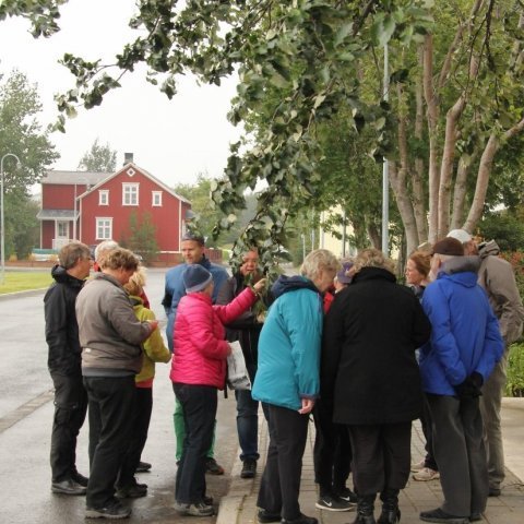 Maður og skipulag - námskeið hjá Endurmenntun LbhÍ
