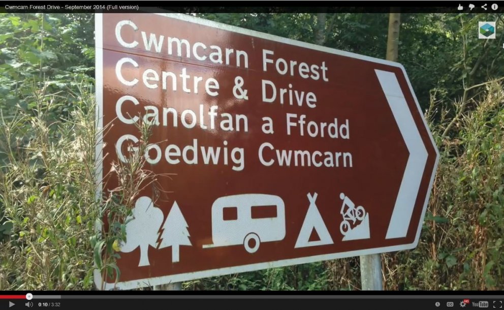 Útsýnisvegi lokað vegna lerkisjúkdóms í Wales