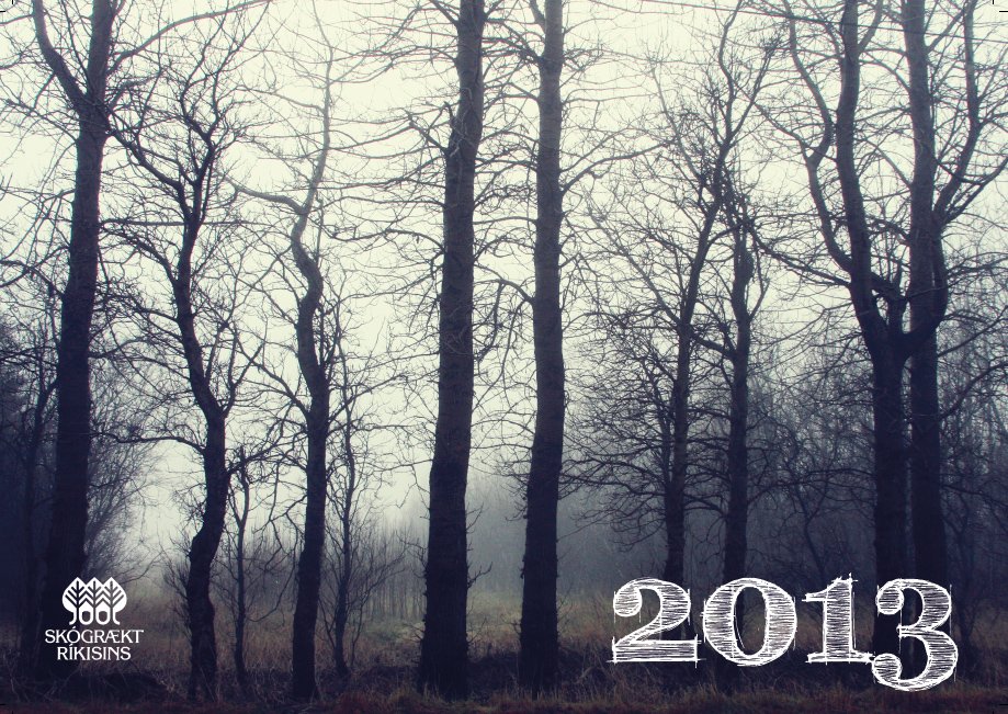 Dagatal ársins 2013