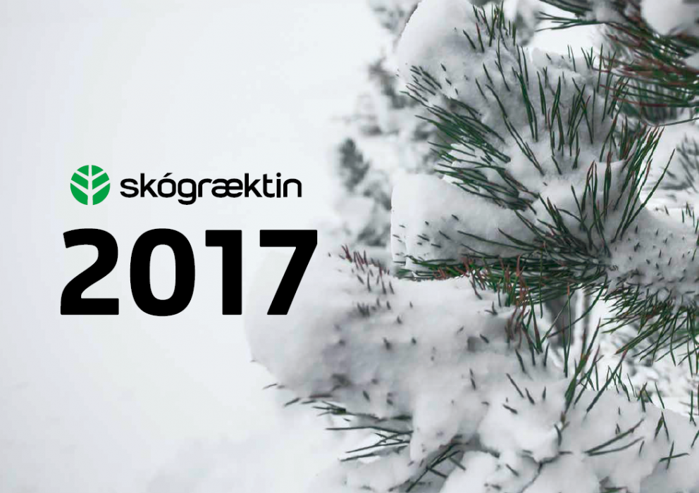 Dagatal Skógræktarinnar helgað skógarbændum