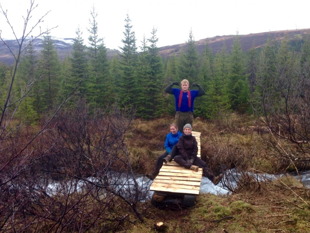 Danskir skógtækninemar sem voru við störf hjá Skógræktinni á Suðurlandi mánaðartíma í október og nóv&hellip;
