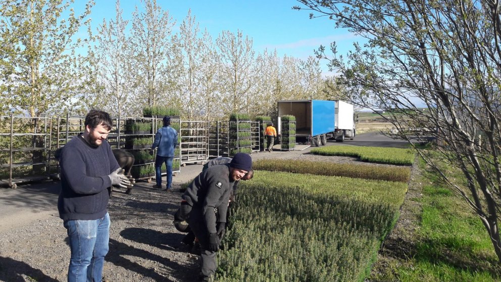 Hér er Jón Auðunn Bogason, skógarvörður á Vesturlandi, ásamt starfsfólki sínu að ganga frá trjáplönt…