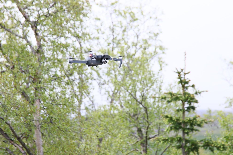 Dróni skoðar skóg. Ljósmynd: Pétur Halldórsson
