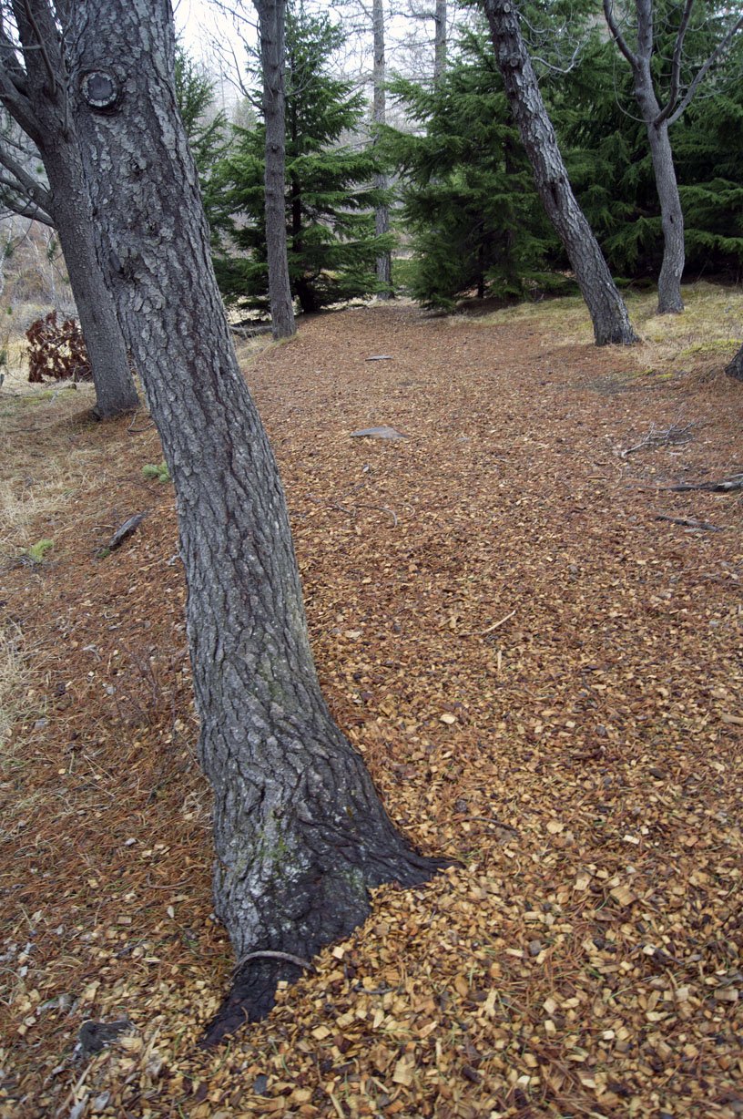 (Mynd: Esther Ösp Gunnarsdóttir)