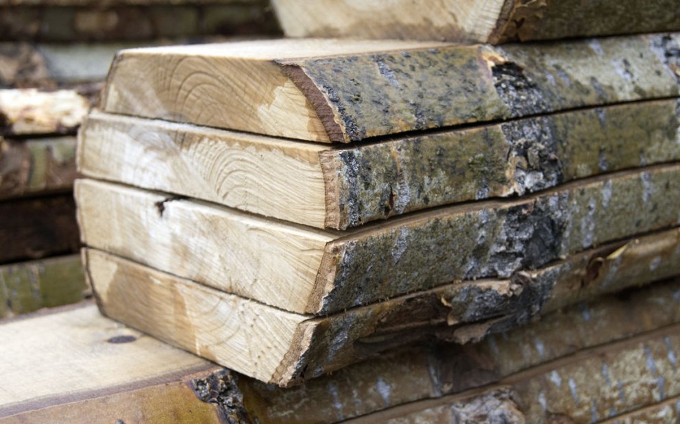 (Mynd: Esther Ösp Gunnarsdóttir)