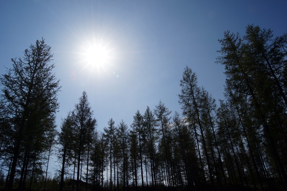 Mats- og vottunarkerfi fyrir kolefnisbindingu