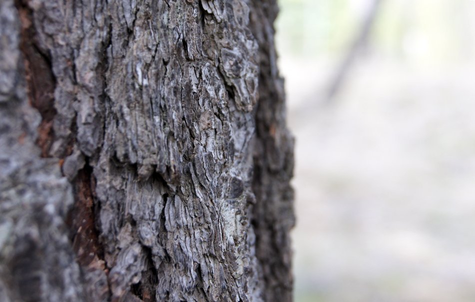 Mynd: Esther Ösp Gunnarsdóttir