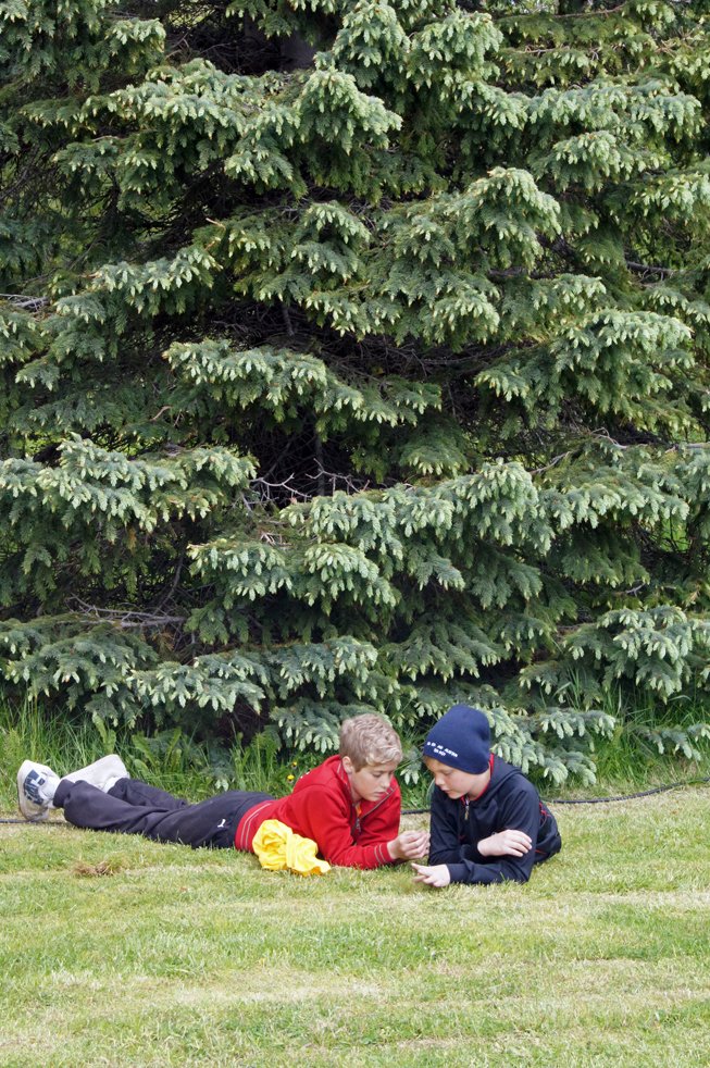 Tjaldsvæðin í Hallormsstaðaskógi: 20 stiga hiti um helgina