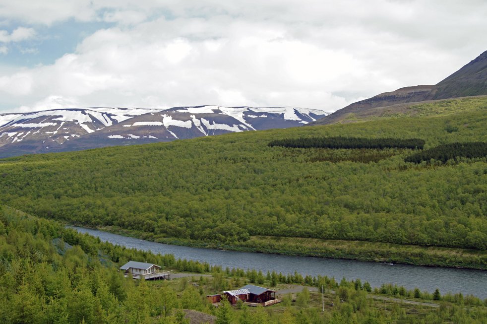 Mynd: Esther Ösp Gunnarsdóttir